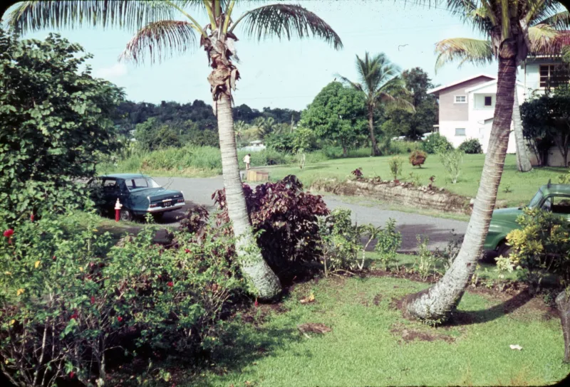 The Driveway Used to Tell You Everything About the Family Inside