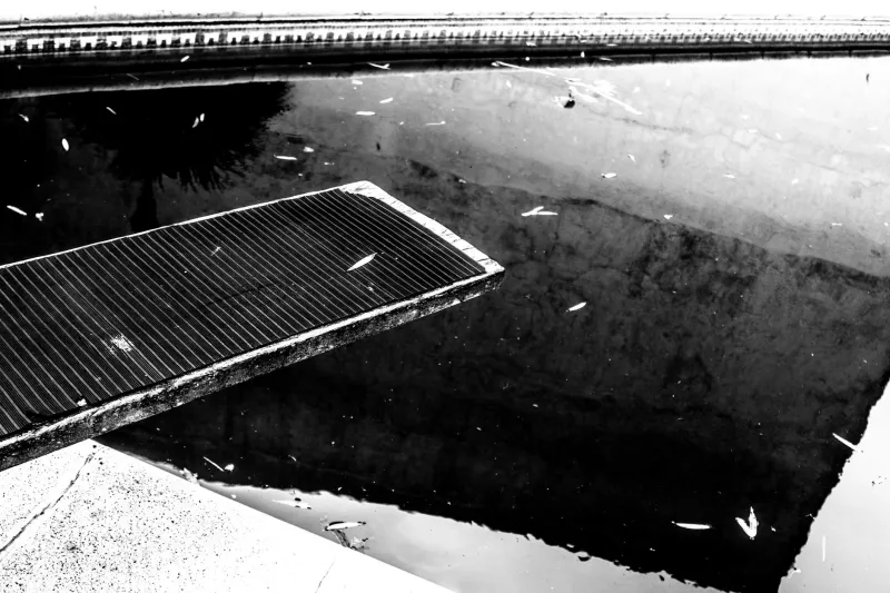 Sink or Swim Was Actually a Teaching Method: How Public Pools Became Padded Playgrounds