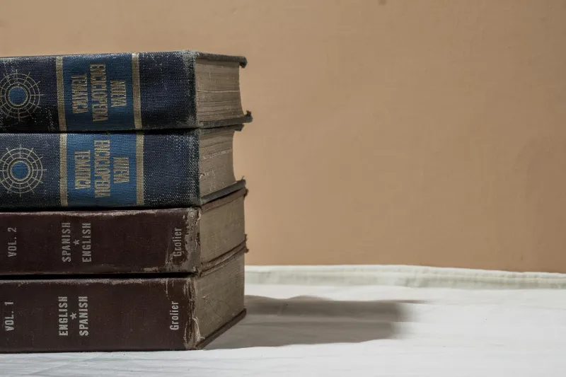 Twenty-Four Volumes of Wonder: When Knowledge Lived on Your Bookshelf